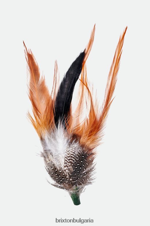 Brixton унисекс шапка на Кевин перо H002T4352 аксесоари мулти